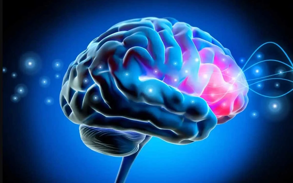 Los cerebros envejecieron más rápido en pandemia, incluso en personas no infectadas