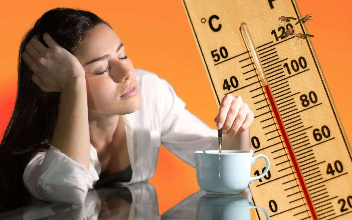 ¿Por qué el calor nos produce sueño?