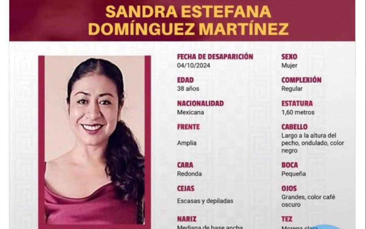 A falta de respuesta oficial, activista anuncia búsqueda por cuenta propia para encontrar a Sandra Domínguez