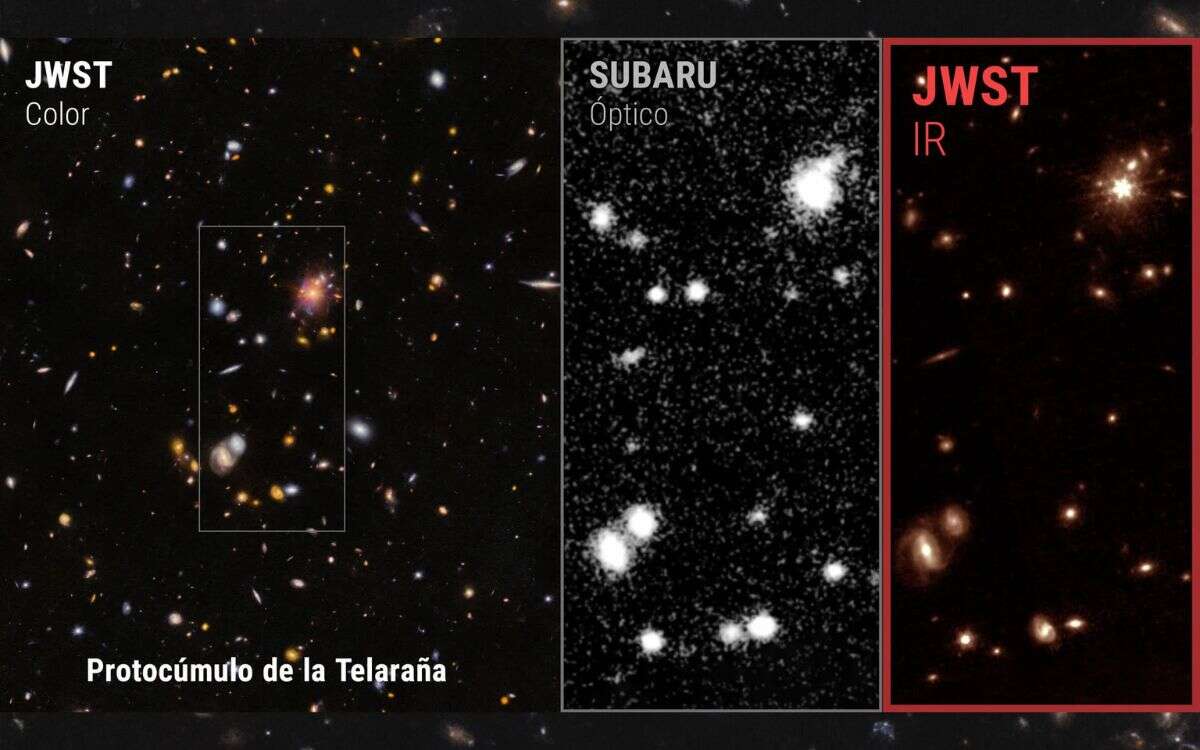 Hallan nuevas galaxias escondidas en el protocúmulo de la Telaraña