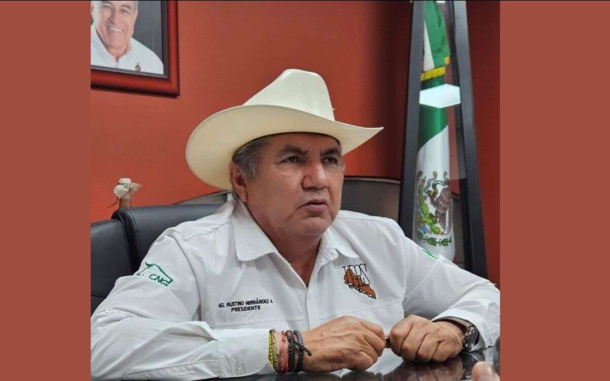 Asesinato del ganadero Faustino Hernández en Sinaloa, desafío para Sheinbaum y Morena: Anabel Hernández