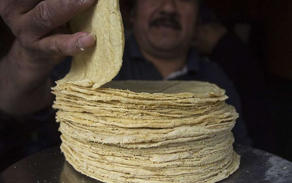 ¿Qué estados tienen los precios más altos de tortilla? Profeco informa