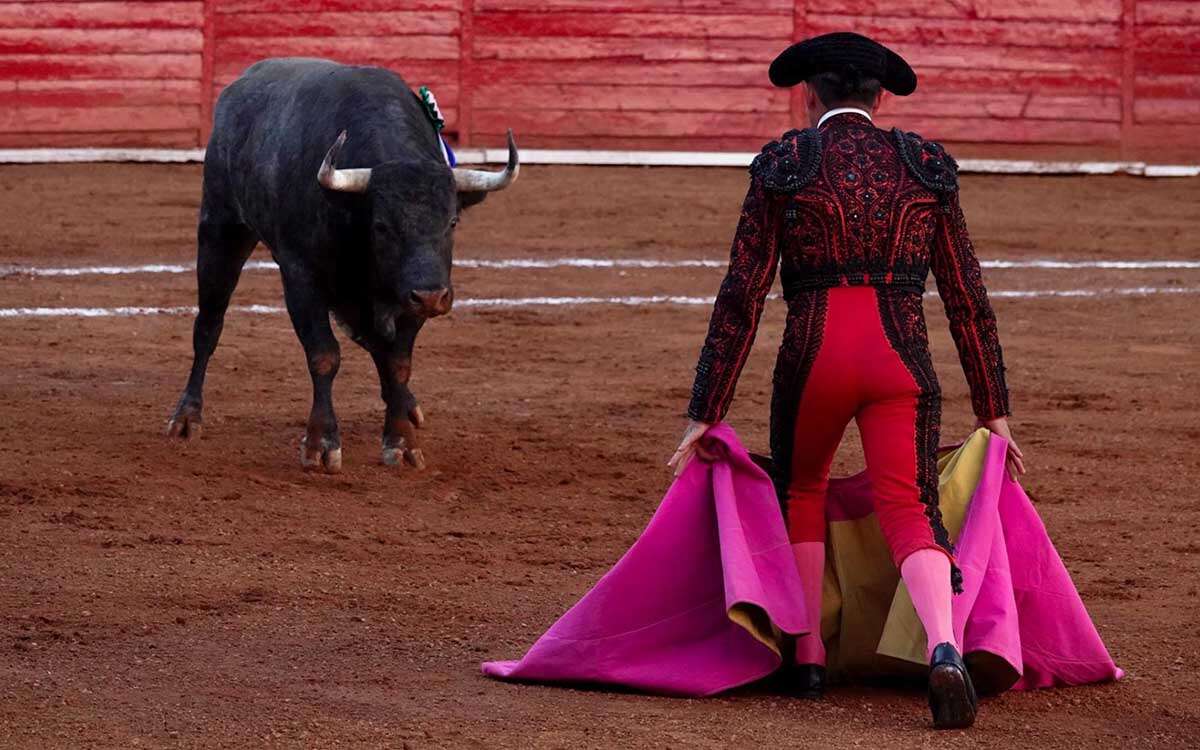 ¿Las corridas de toros llegan a su fin? Esto dijo Sheinbaum sobre protección animal