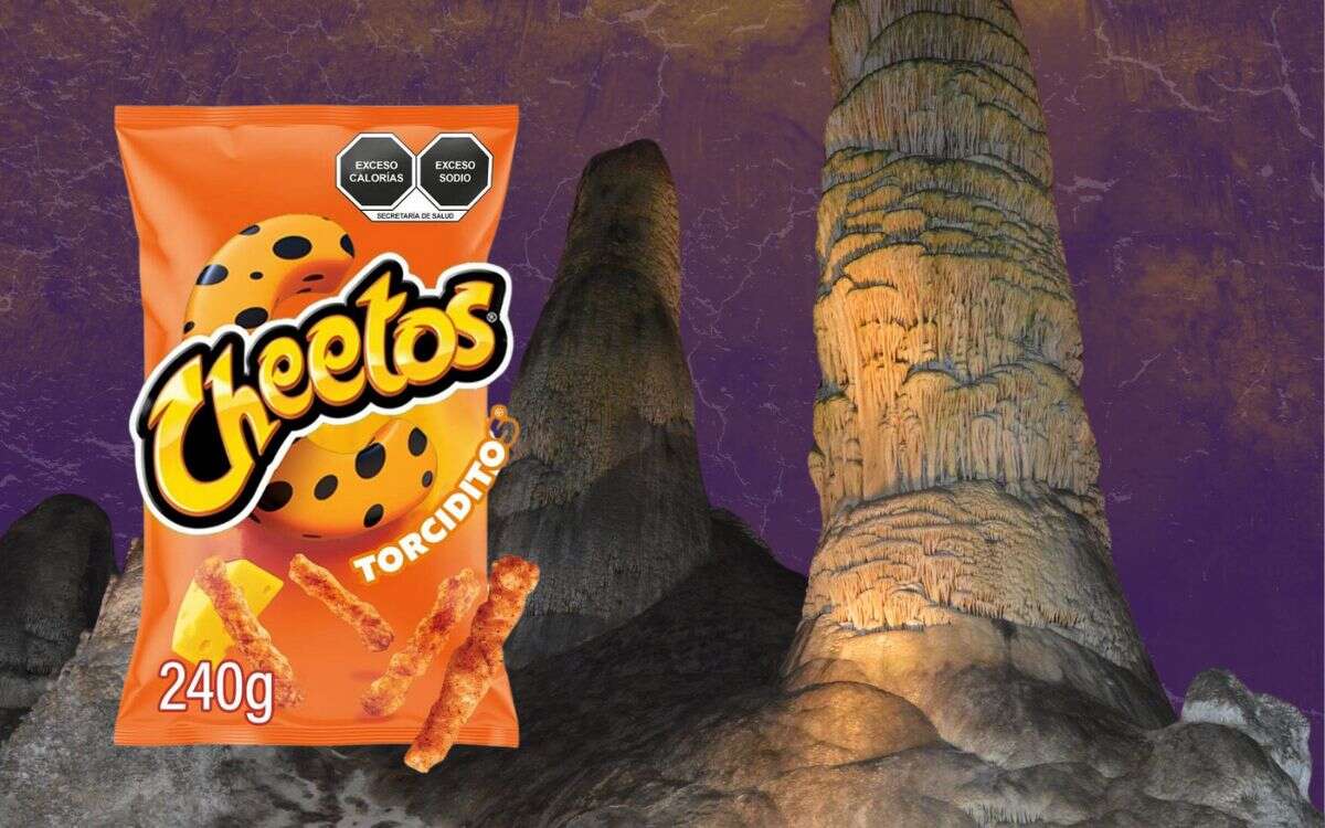 Bolsa de cheetos altera el ecosistema de Parque Nacional en EU