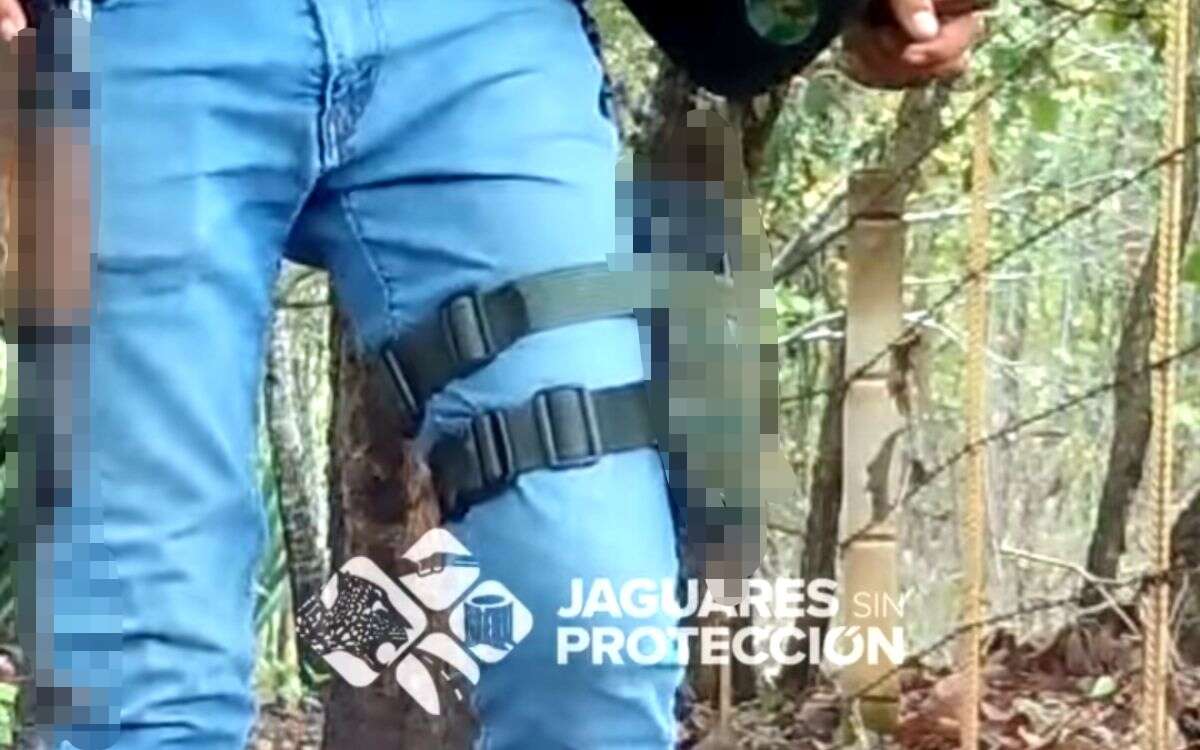 Cámaras de fototrampeo para jaguares captan a personas armadas en Nayarit