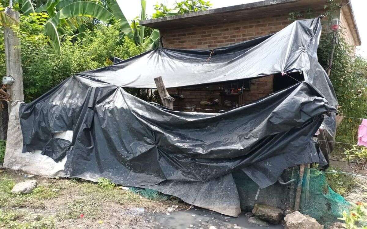 Bajo la tormenta: una familia desplazada por la violencia y el hambre en la Sierra de Huajicori