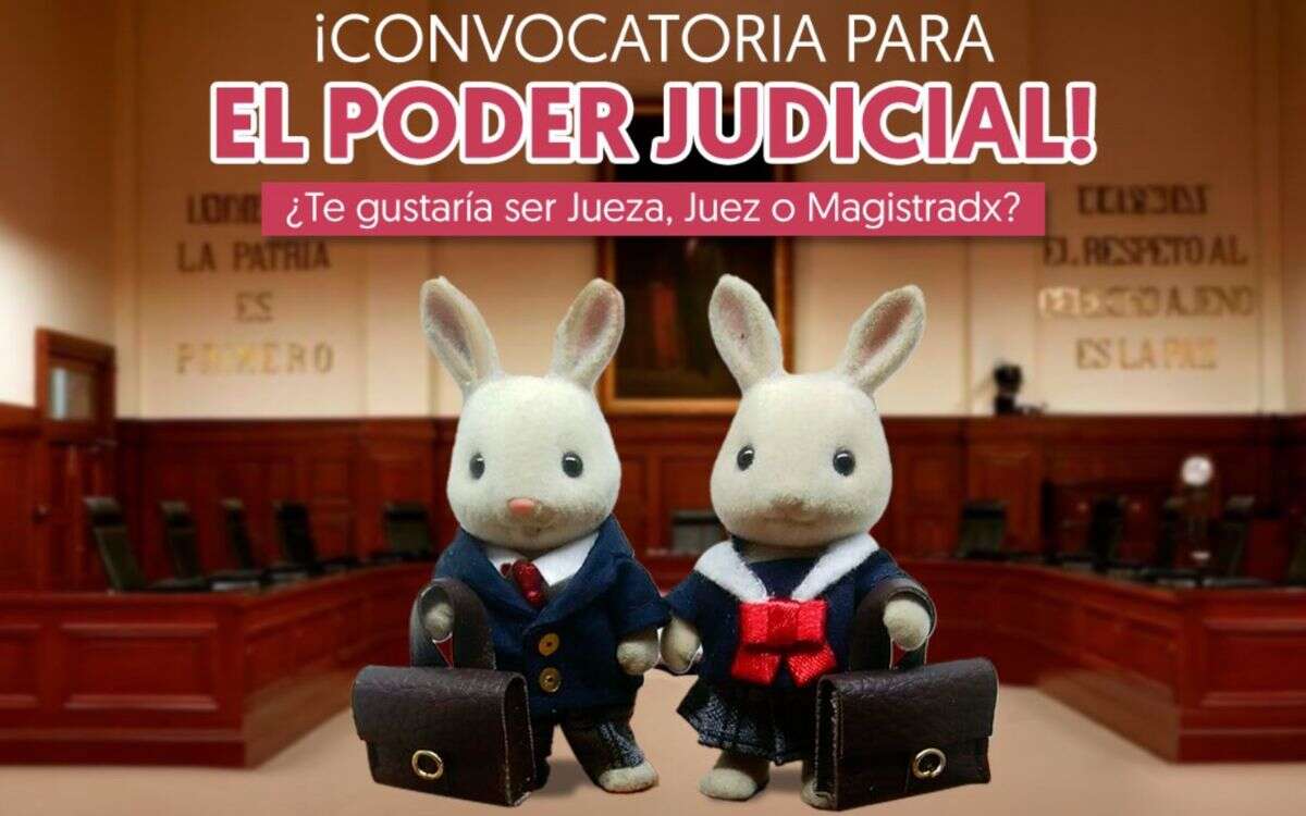 Entre ternurines y errores, IMJUVE lanza campaña para elección judicial