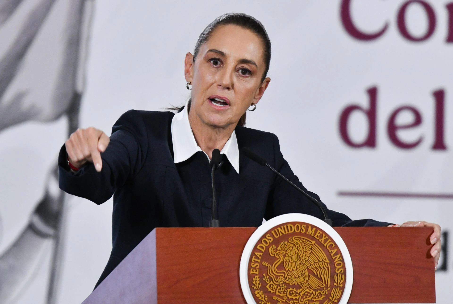 Mirador Político: Revocación es intrusión | Jorge Alcocer V.