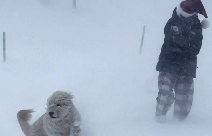 Zacatecas habilita 125 refugios ante la llegada de tormenta invernal y frío extremo