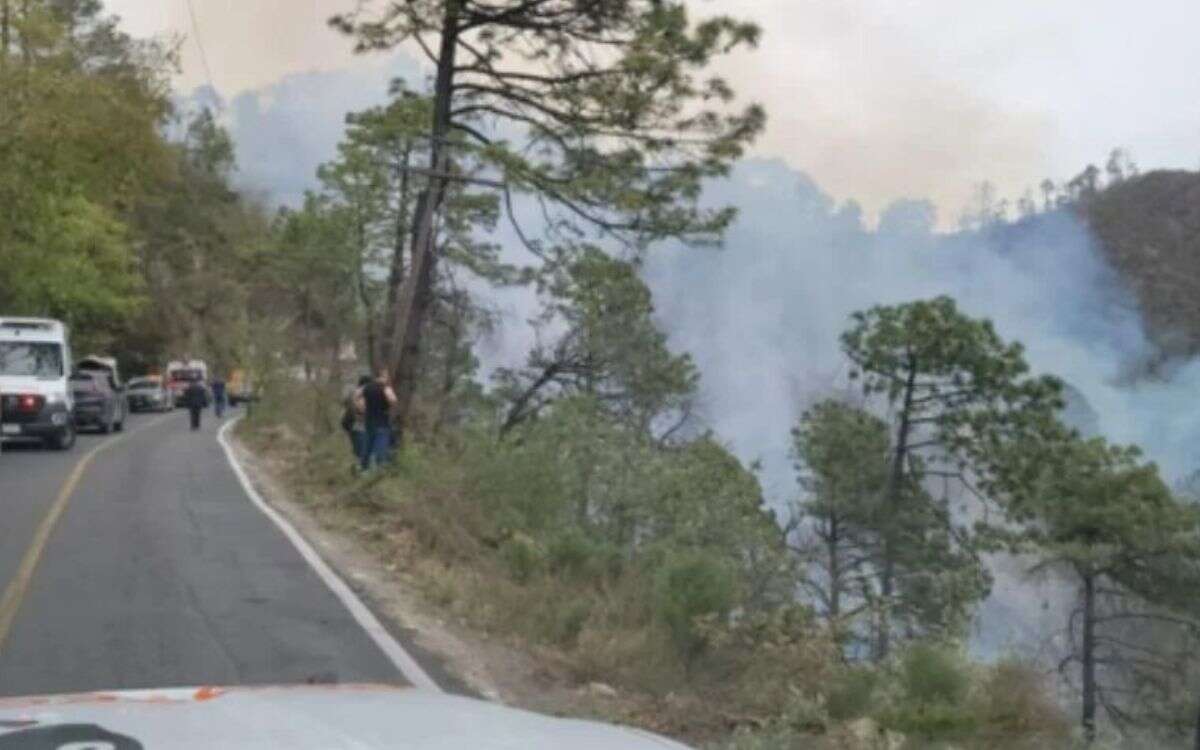 Camioneta cae a barranco y deja 12 muertos en Nuevo León