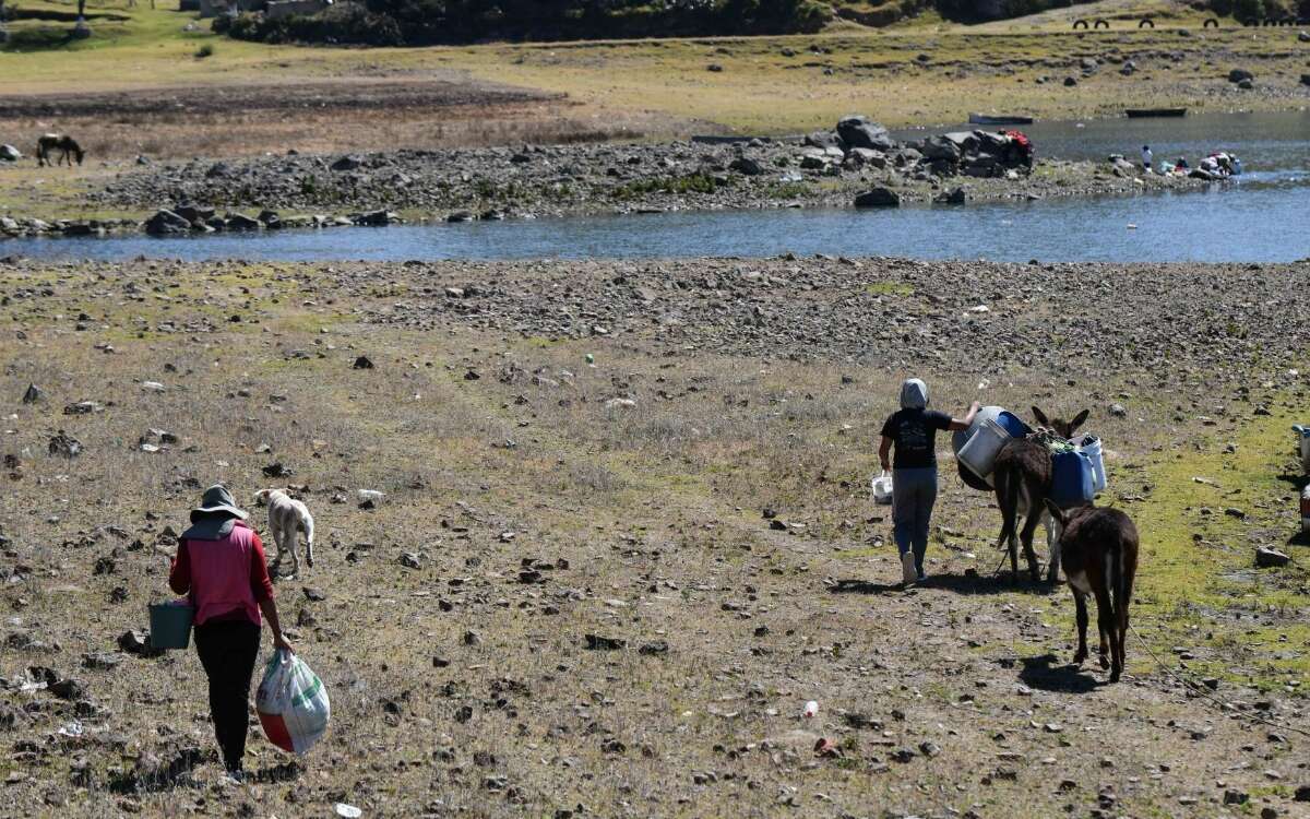 Agua: ejercer el derecho humano al agua obliga a proteger bosques y selvas | Por ABC México