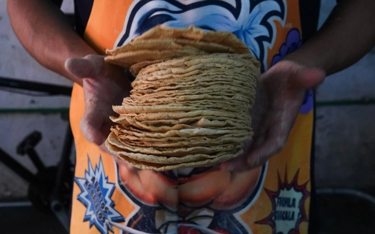 En EU ‘desmexicanizan’ las tortillas y el maíz: Especialista de la UNAM