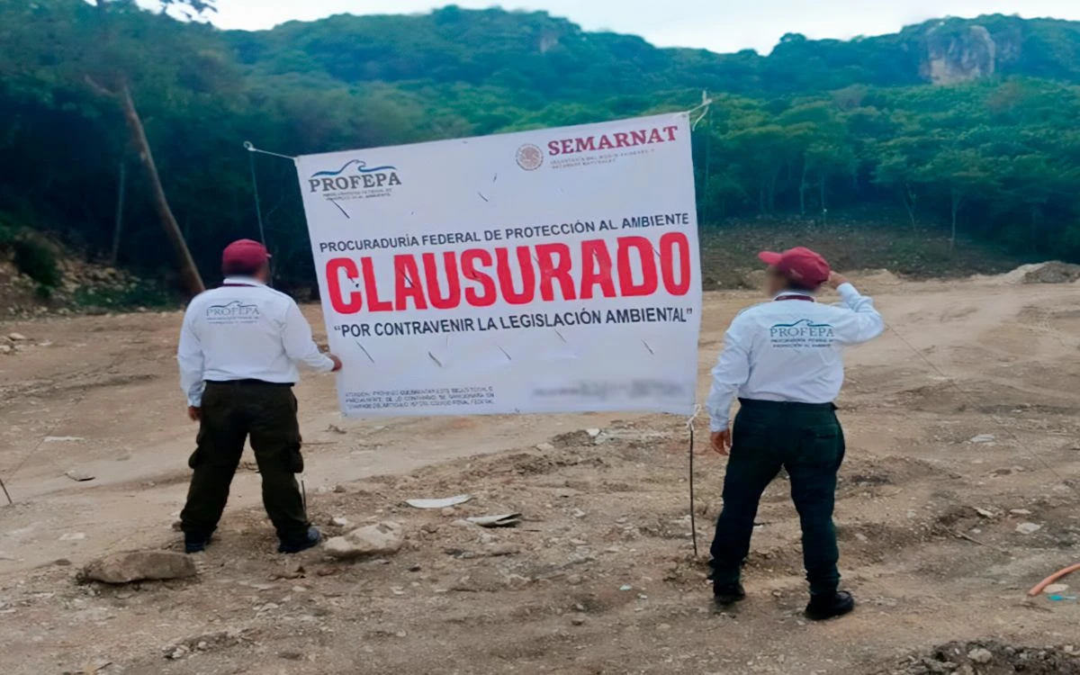 Chiapas | Arrasan con más de 4 mil metros cuadrados de selva baja en Tuxtla Gutiérrez