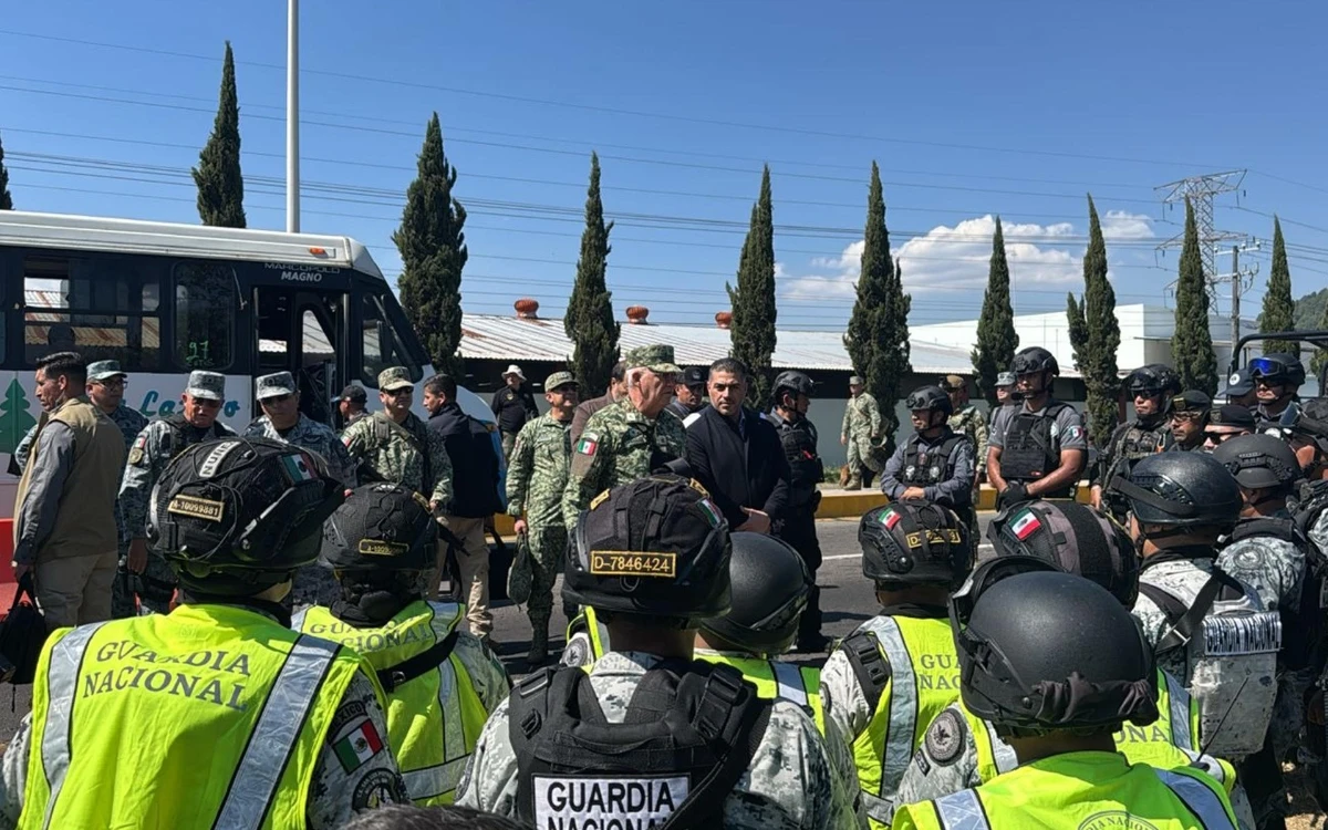 Gobierno va contra 12 cárteles del en Michoacán