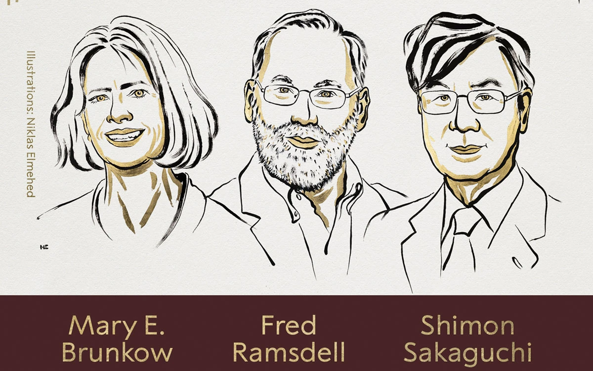 Nobel de Medicina a Brunkow, Ramsdell y Sakaguchi por la tolerancia inmunológica periférica