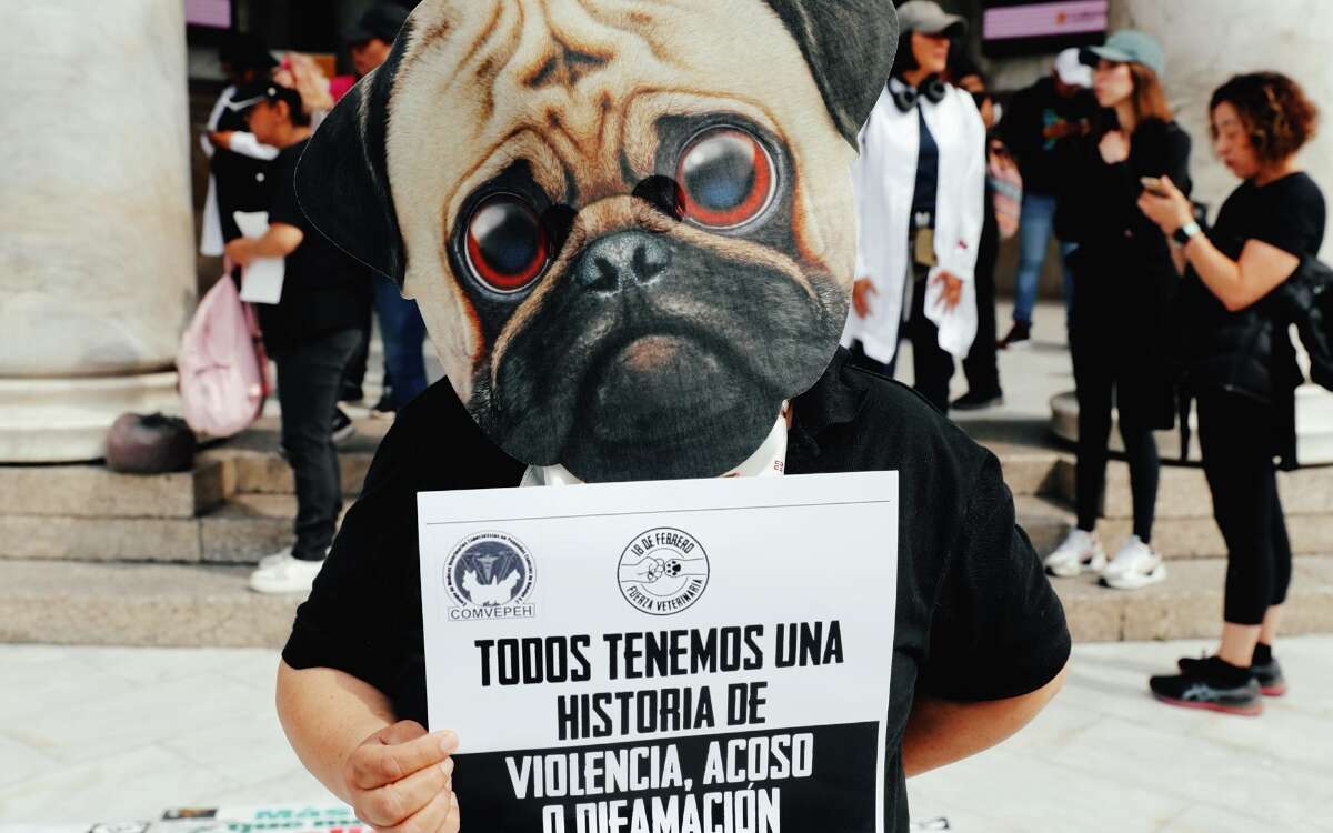 Veterinarios marchan en exigencia seguridad tras asesinato de colega