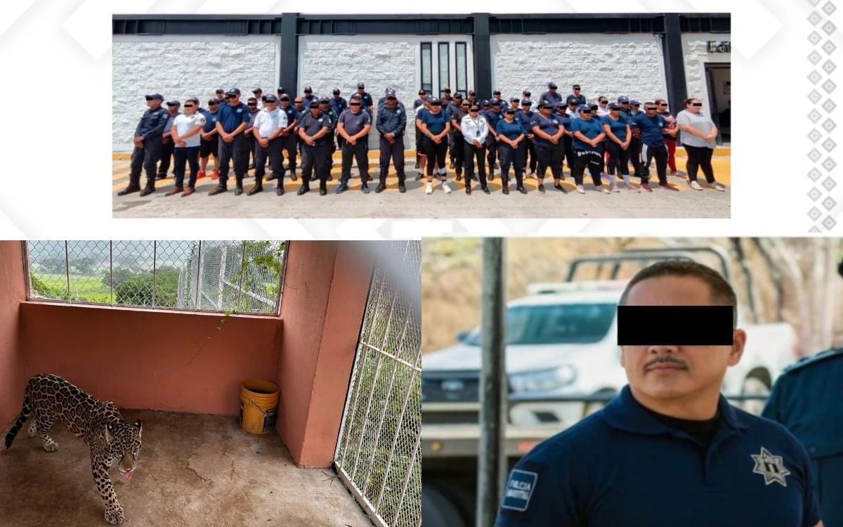 Caen casi 60 policías municipales y 4 integrantes del Cártel Chiapas-Guatemala