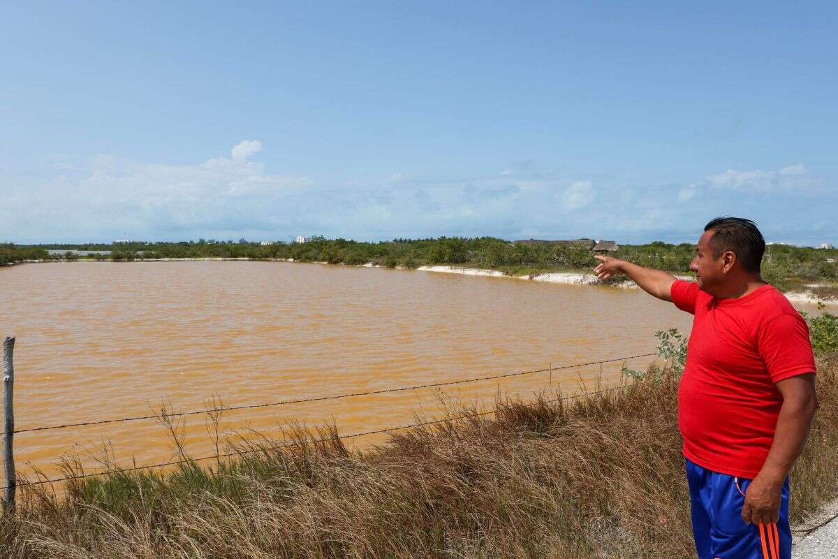 Yucatán | Campesinos denuncian que planta de agua potable pone en peligro manglares