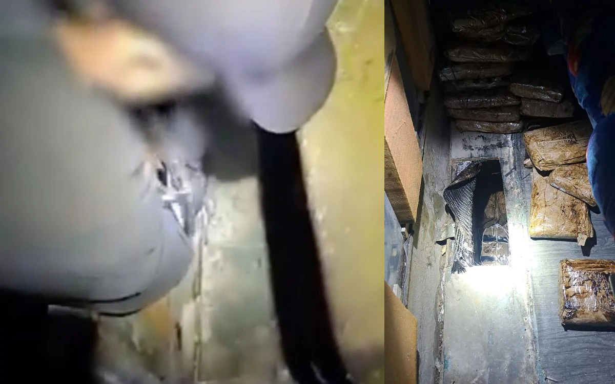 Caen dos en Sonora por trasladar heroína y fentanilo en autobús de pasajeros | Video