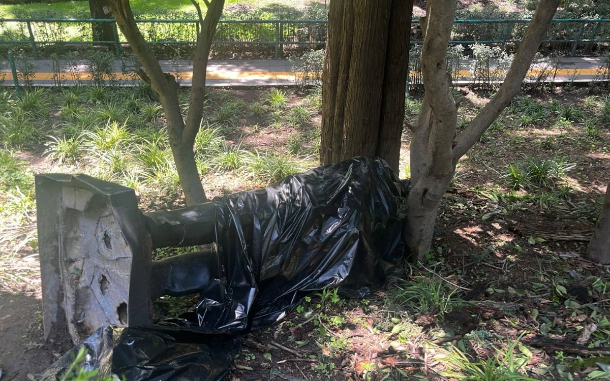 Derriba árbol estatua de Calderón en Los Pinos