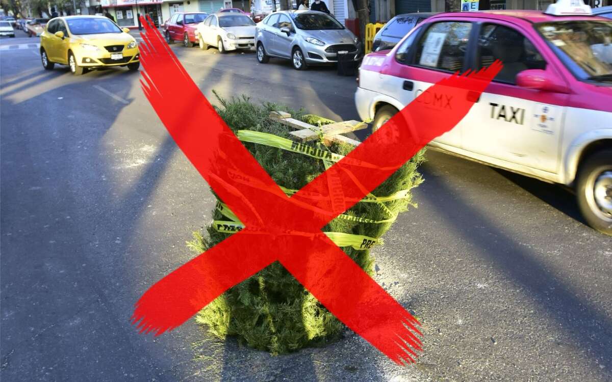 ¡No tires tu árbol de Navidad en la calle! Centro de reciclaje en Edomex