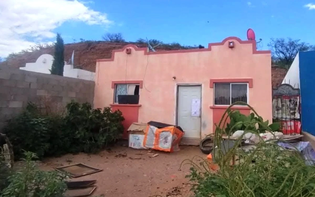 Incautan perros congelados y fileteados e expolicía federal en Sonora
