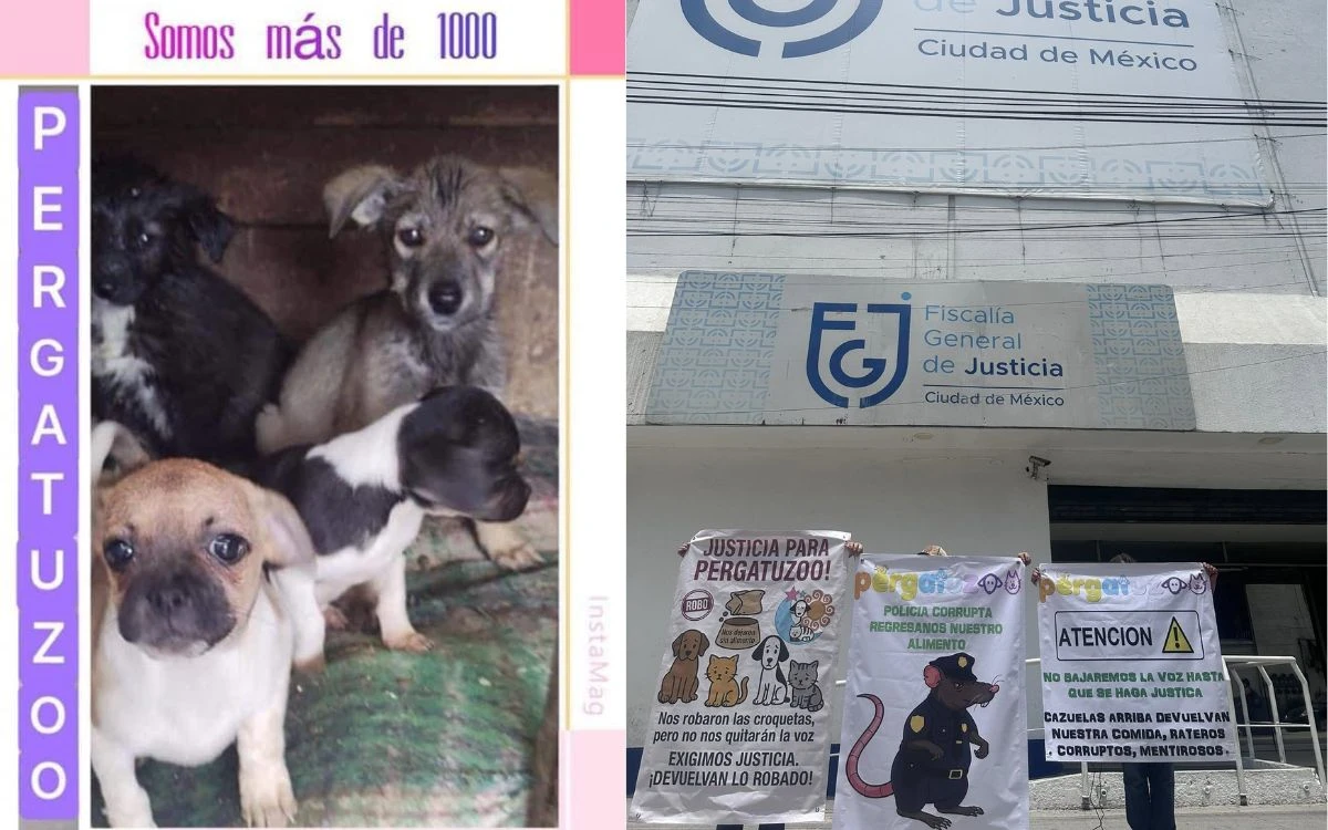 Albergue Pergatuzoo denuncia doble extorsión: primero del CJNG y y después de policías y MP de la CDMX