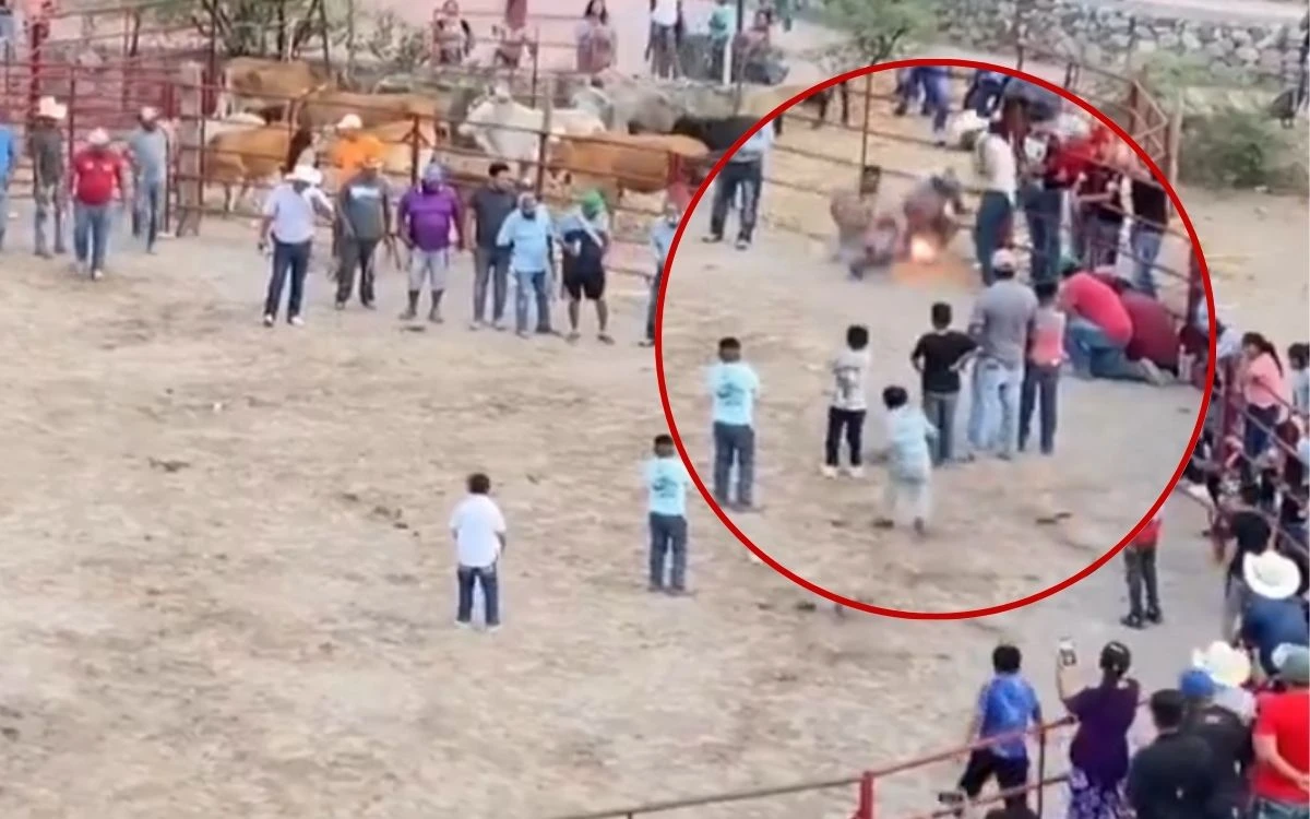 Crueldad animal en Guanajuato: amarran fuegos artificiales a gatos en jaripeo