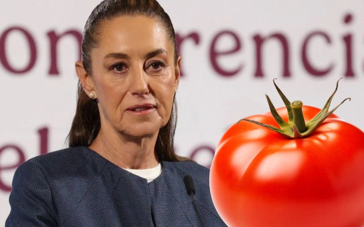 ‘No tiene la calidad’: Sheinbaum responde a quejas de tomateros de EU