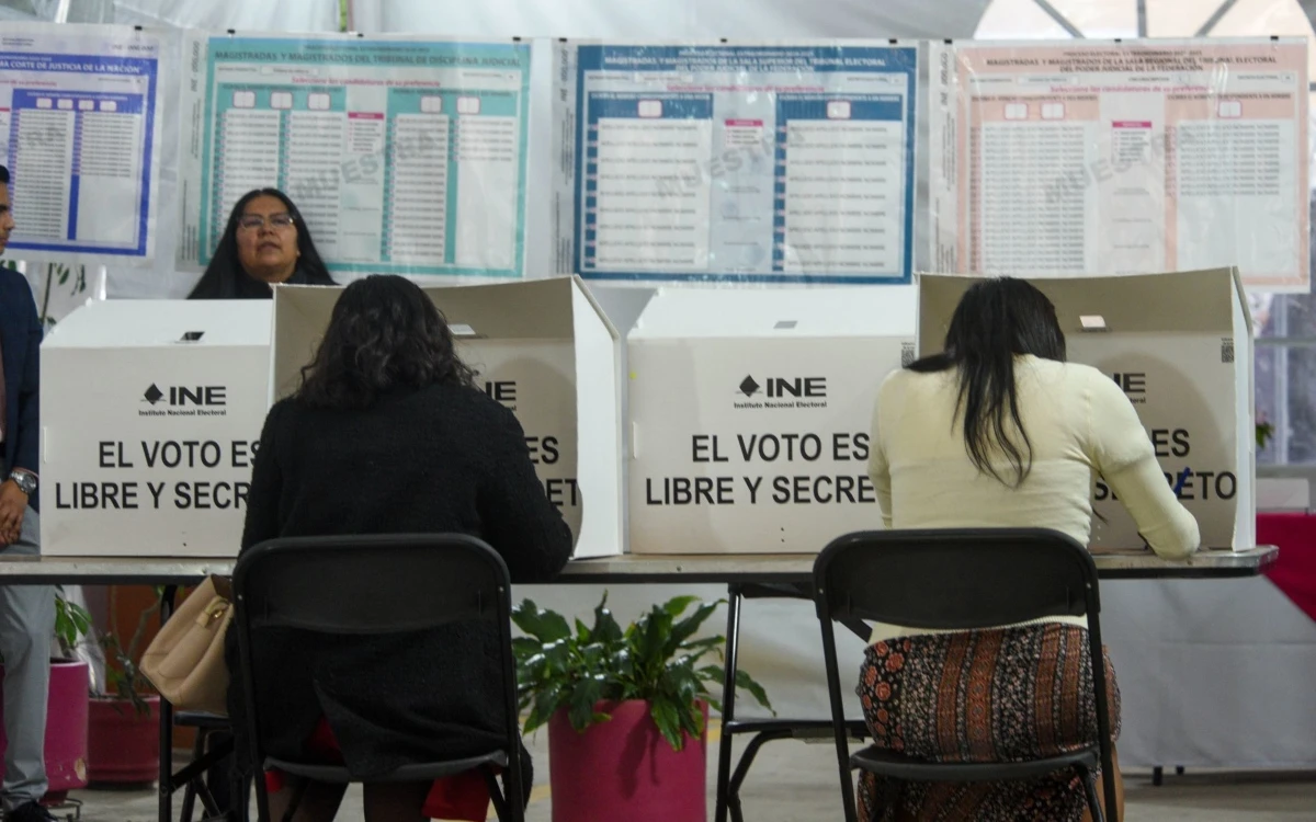 INE rechaza más de 62 mil solicitudes de observadores electorales para Elección Judicial