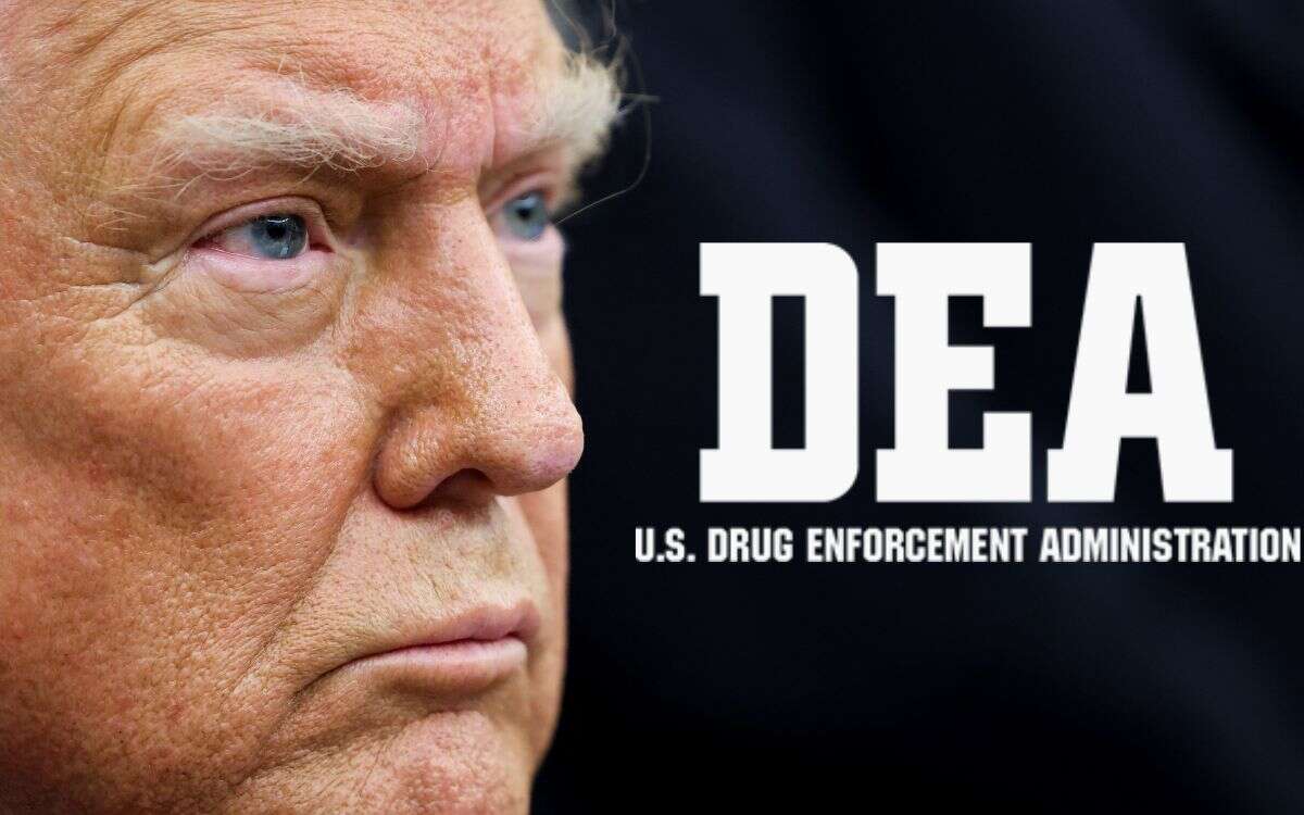 Quién es Terry Dale, nominado de Trump para dirigir a la DEA