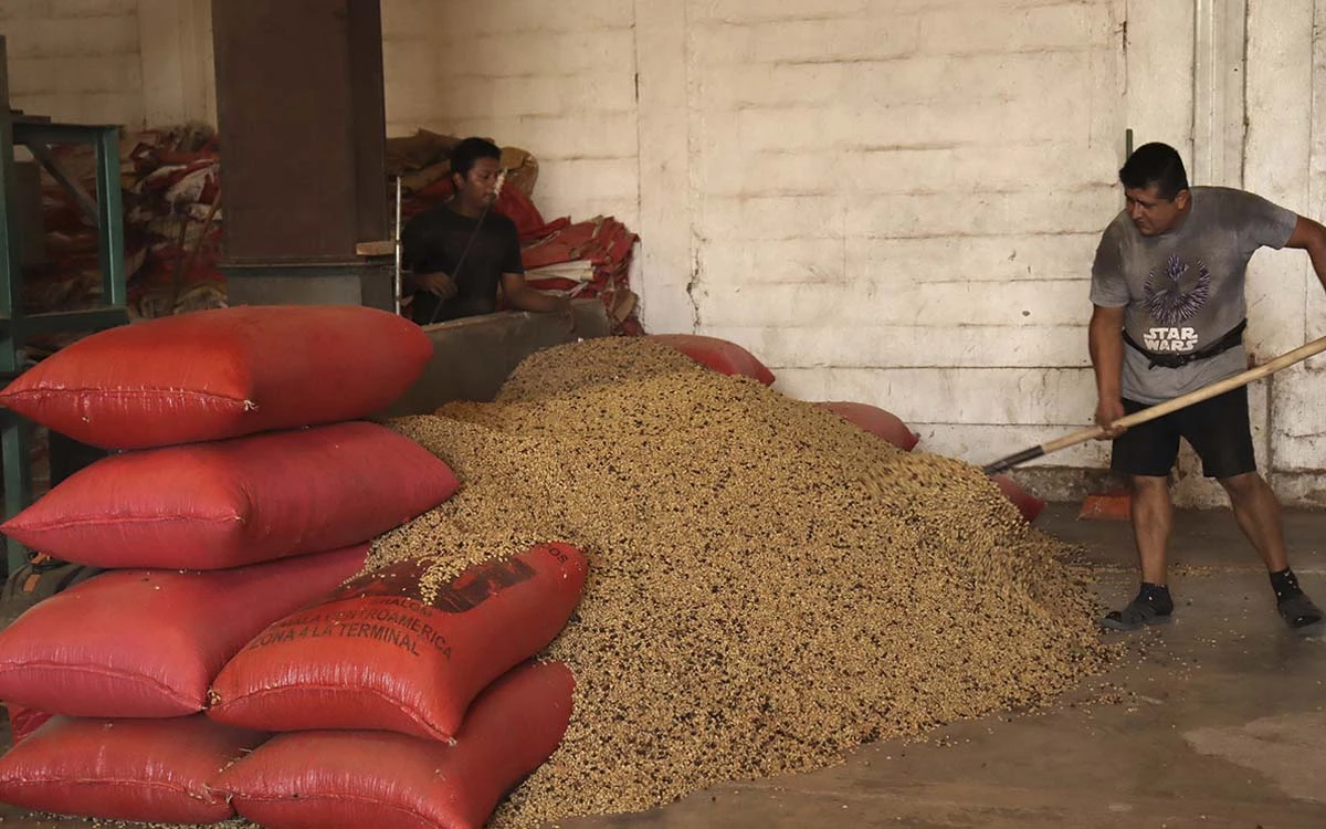 Incertidumbre arancelaria ya provoca “inflación de alimentos” en México: FIDA de la ONU
