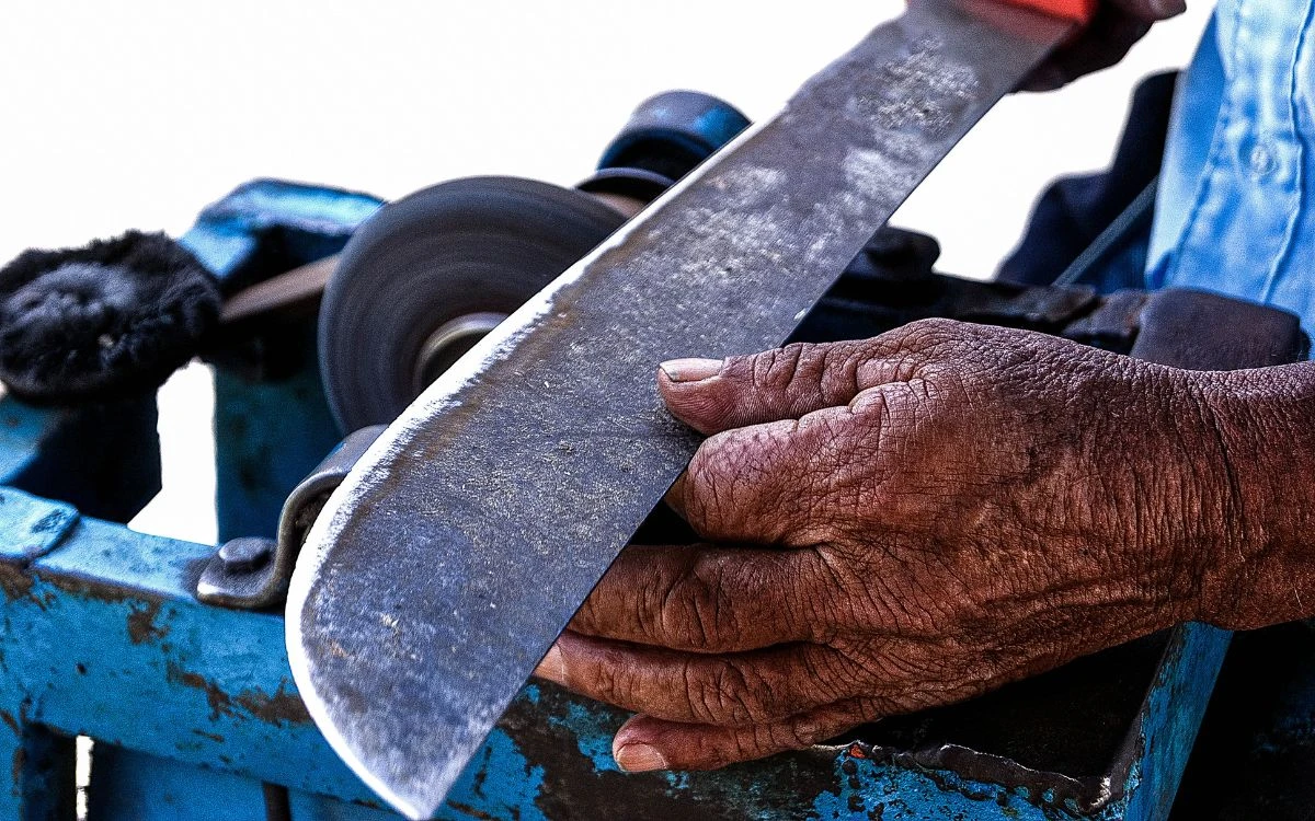 Detienen a hombre por atacar con machete a su vecino | CDMX