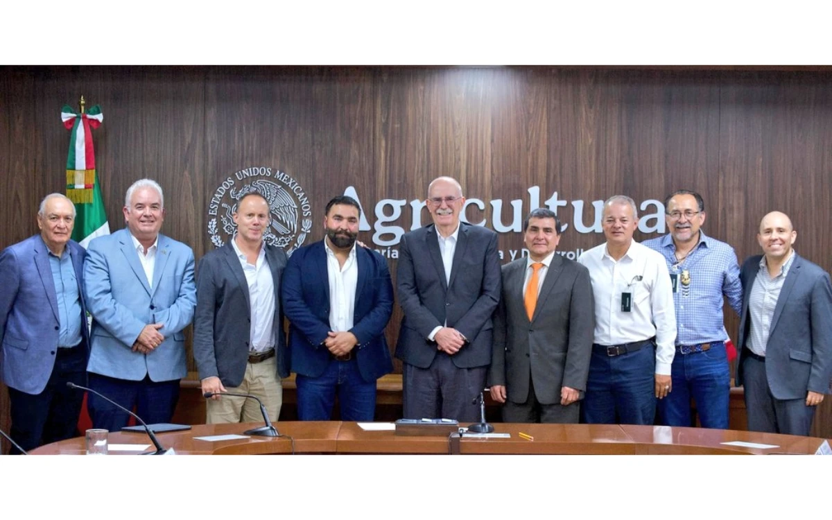 Gobierno federal y productores de jitomate acuerdan plan ante arancel de 17% de EU