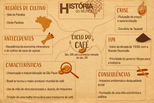 Ciclo do café: resumo, características, crise