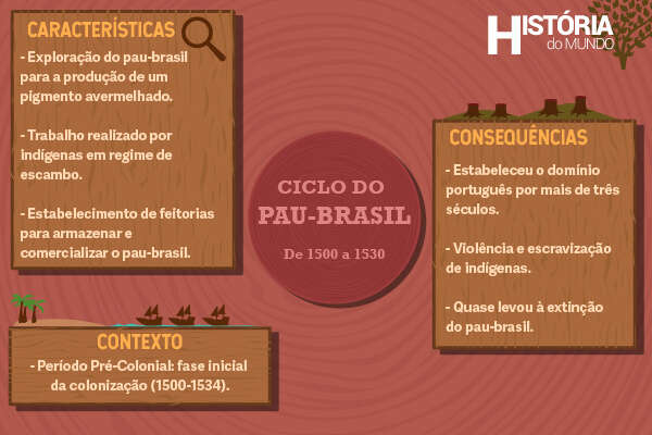 Ciclo do pau-brasil: resumo, como foi, contexto