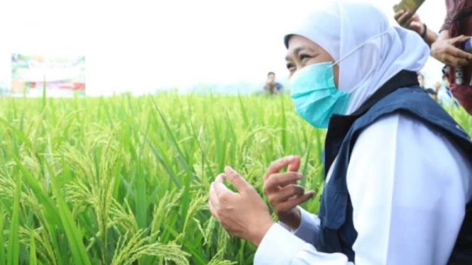 Positif COVID-19 Lagi, Gubernur Khofifah: Antibodi Saya Tinggi