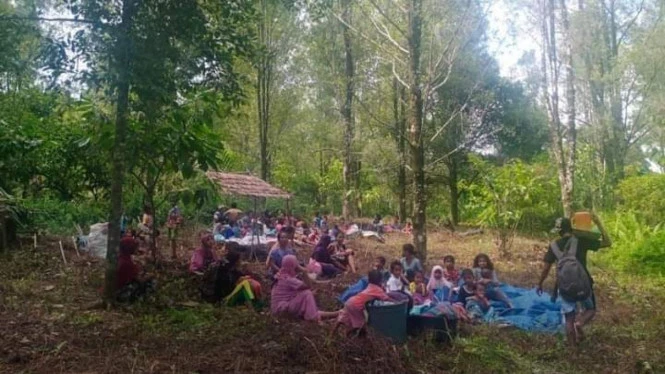 Diguncang Gempa, 7.227 Warga Maluku Tengah Mengungsi ke Hutan