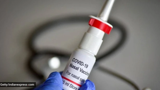 Mengenal Vaksin Nasal, Vaksin COVID-19 yang Melalui Hidung