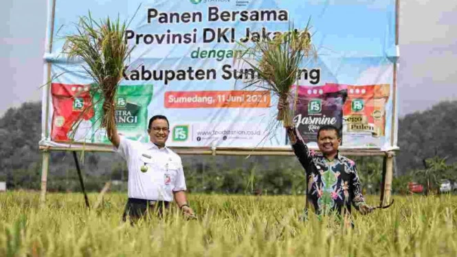 Anies Keliling Daerah, Tsamara PSI: Jakarta Banyak Persoalan Kompleks