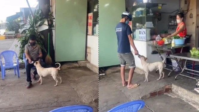 Viral Warung Makan Ini karena Anjingnya