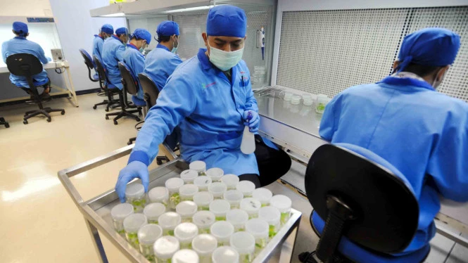 LIPI Berhasil Mengidentifikasi COVID-19 Varian Delta dari Karawang