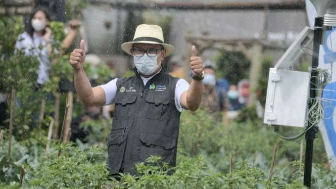 Program Petani Milenial Ridwan Kamil Dijanjikan Terwujud Akhir 2021