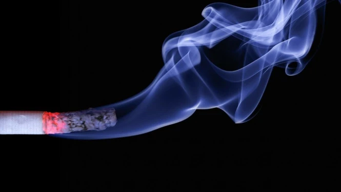 Konsumsi Rokok Bisa Dikendalikan dengan Simplifikasi Tarif Cukai