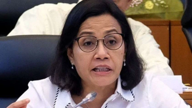 Sri Mulyani: Perusahaan Pengemplang Pajak Bersemayam di Irlandia Utara