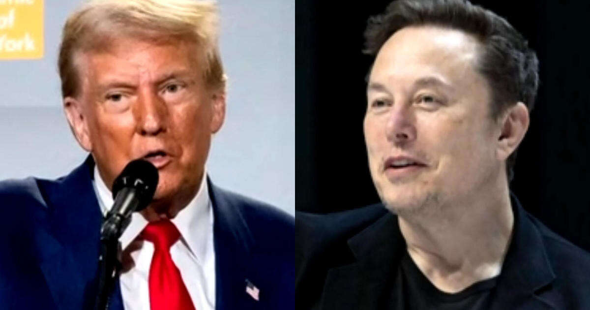 Trump proposes placing Elon Musk in charge of a government efficiency commission