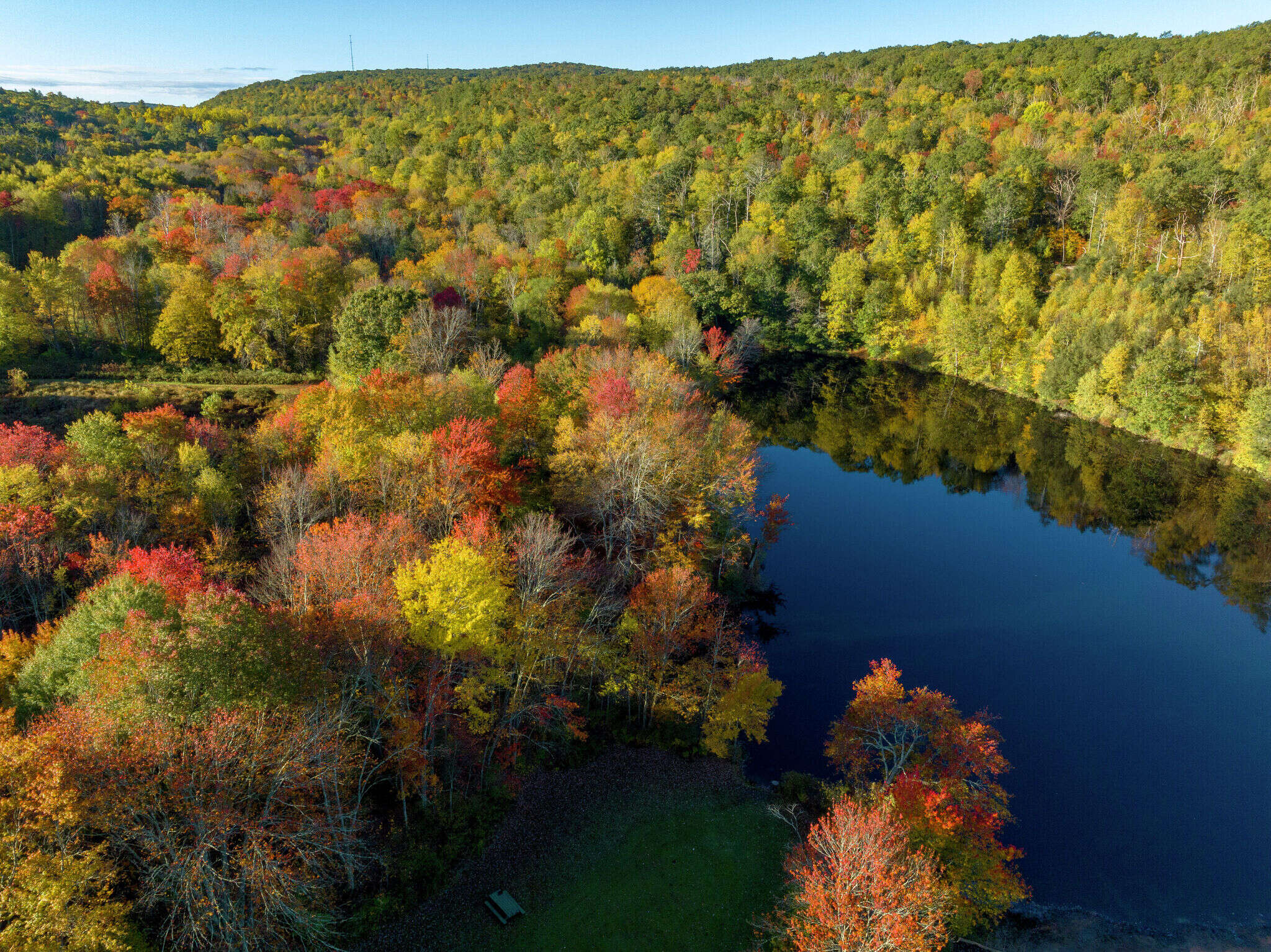 CT may already see fall colors on these trees before foliage peaks in October