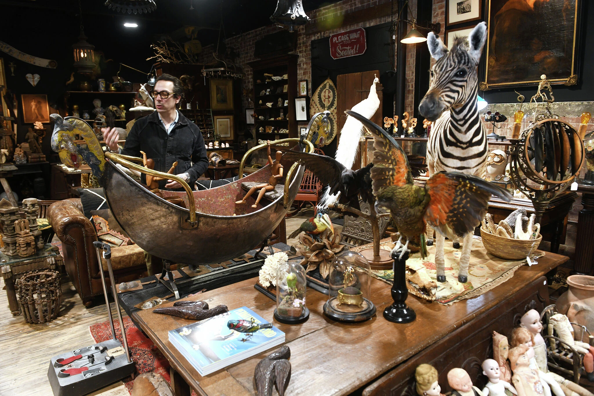 ‘Oddities’ co-host opens Bridgeport shop filled with rare curiosities