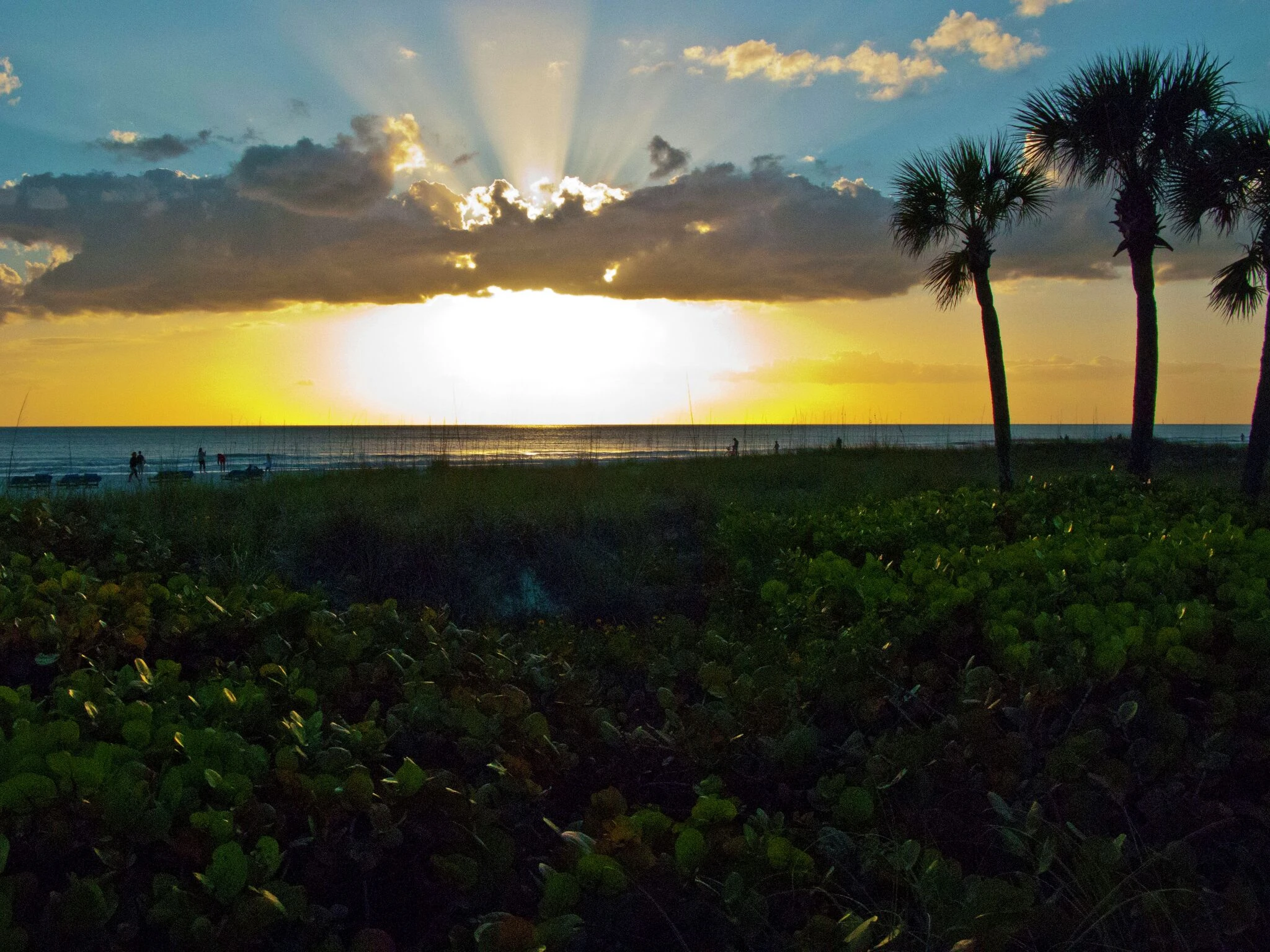 Mike Daly (opinion): Florida offers respite from winter, but not politics