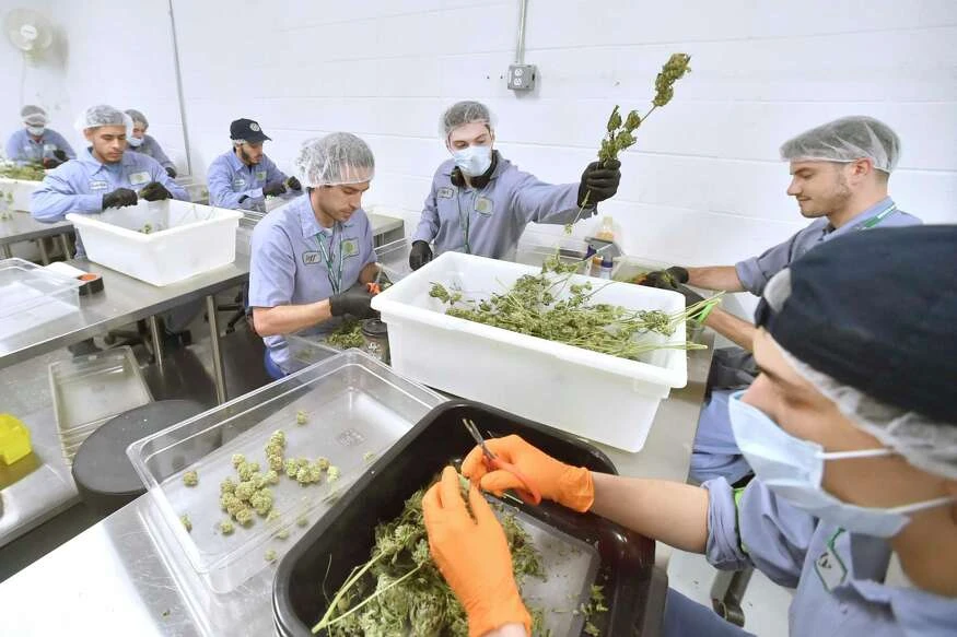 Lamont signs bill legalizing recreational marijuana